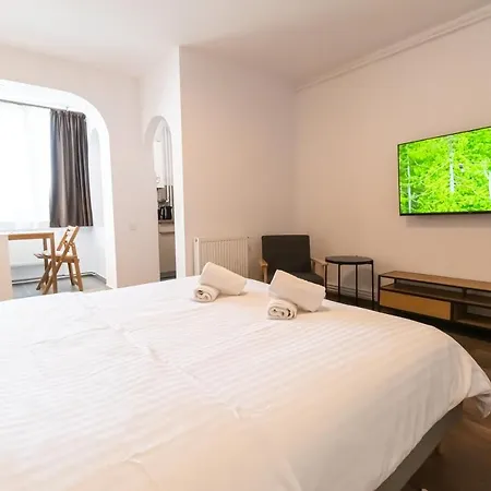 Oslo Studio - Renovated Central Located * Braşov